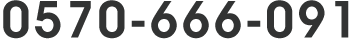 0570-666-091